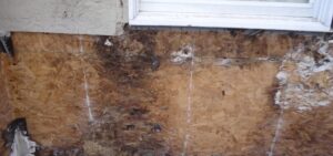 what is involved in a stucco inspection