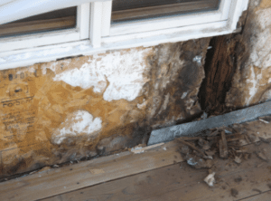 dry rot behind stucco