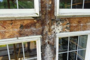 water damage under window