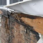 invasive stucco inspection
